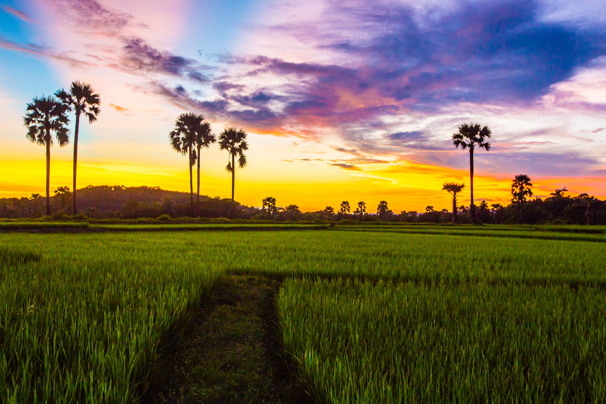 Amphoe Mae Ta Explore Lampang & Lamphun