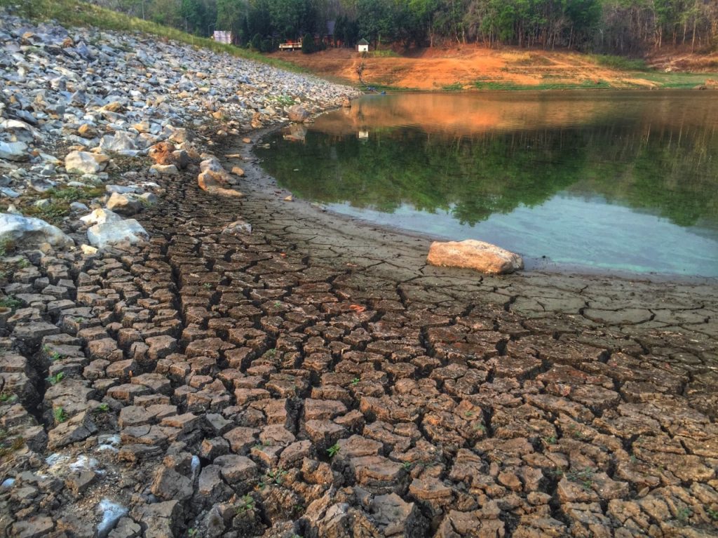 thumbnail_แห้งขอด (4)