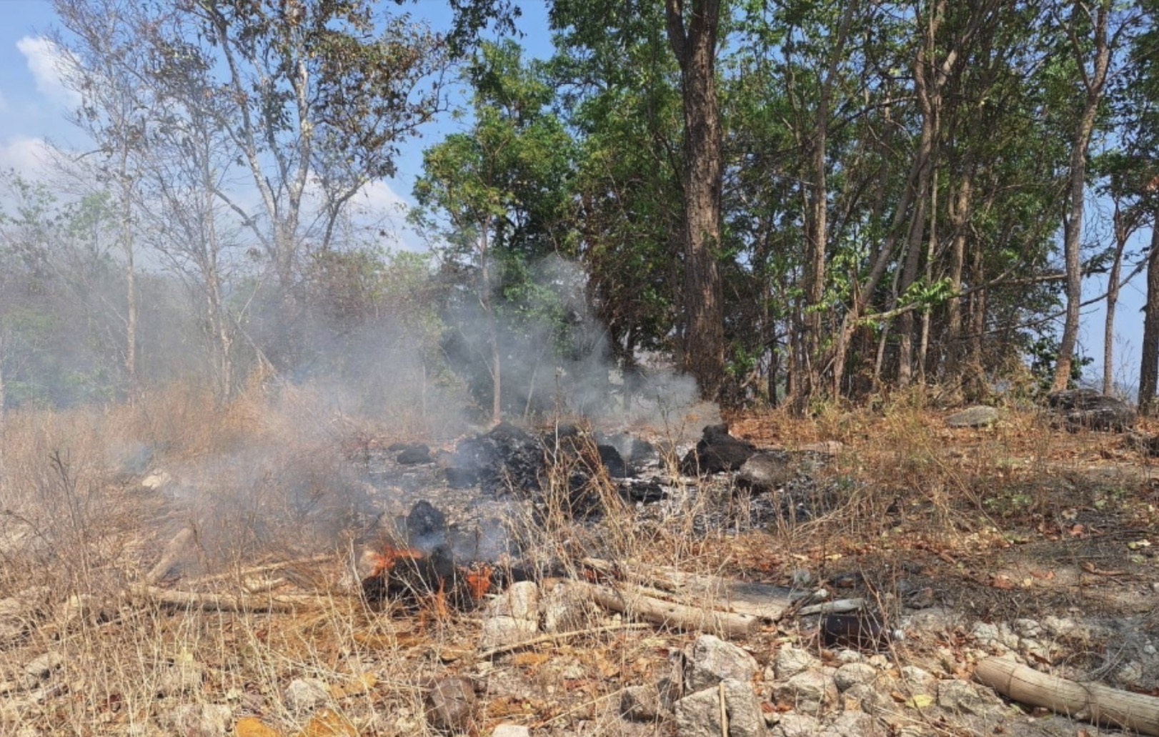 Man lights small fire in national park, faces hefty fine - Chiang Mai ...